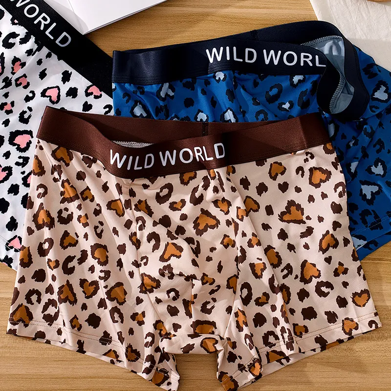 ROBINHOOD Underpants Men's Combo Set-8
