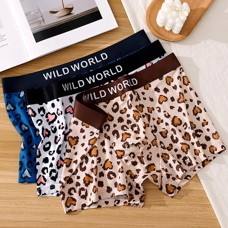 ROBINHOOD Underpants Men's Combo Set-6