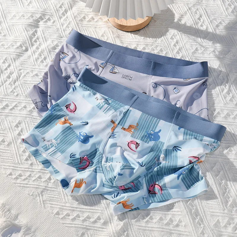 ROBINHOOD Underpants Men's Box 3 Pack-2