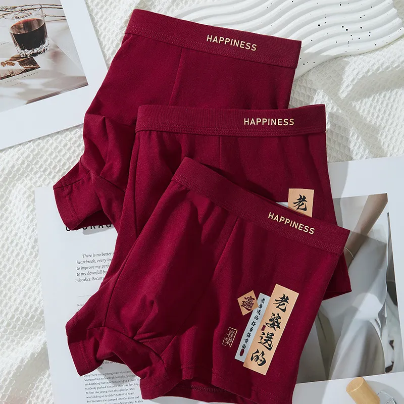 ROBINHOOD Underpants Men's Combo Set-1