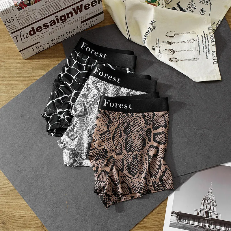 ROBINHOOD Underpants Men's Combo Set-14