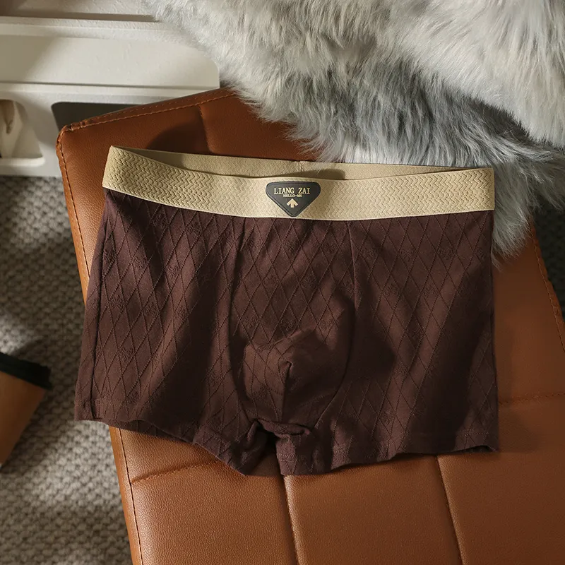 NOME Underpants Men's 1 Pack Beach Brown-5