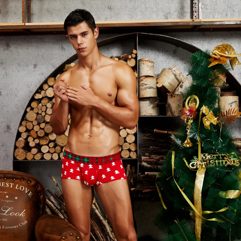 SEOBEAN Underpants Men's 3 Pack-1