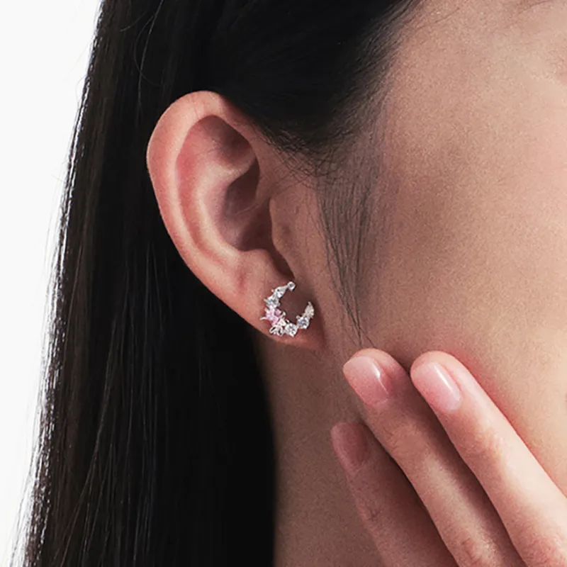 ZHENJIUJIU S925 Stud Earrings Women's-2