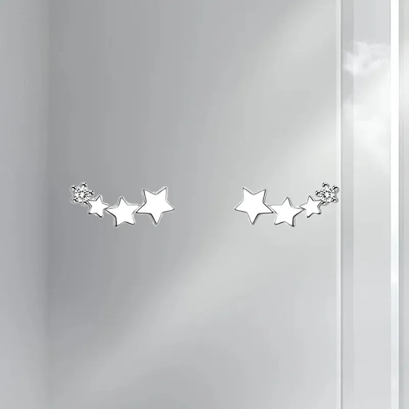 LUCA Zircon Stud Earrings Unisex-3