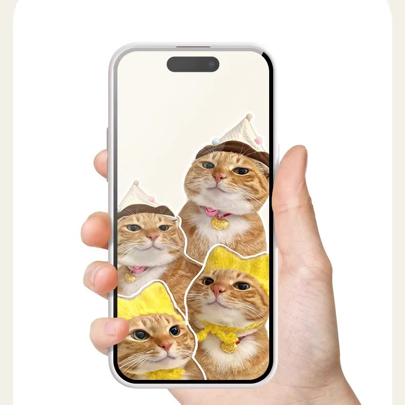 HASEE Phone Cases-2