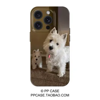 HASEE Phone Cases