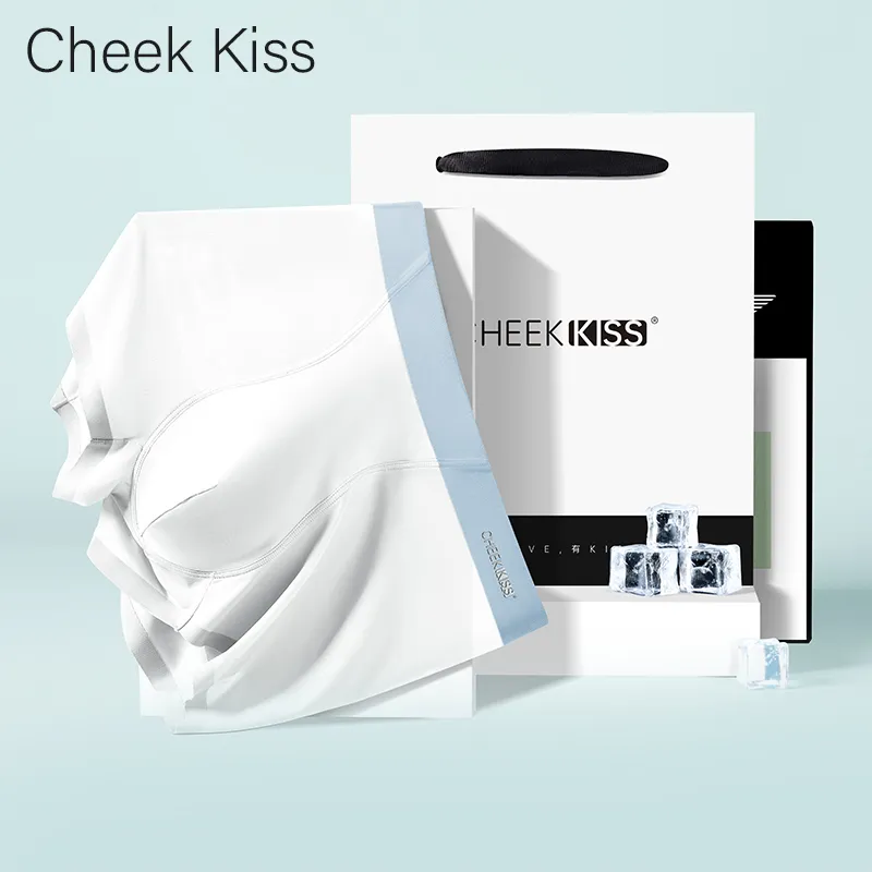 Cheekkiss Underpants Men's 4 Pack-8