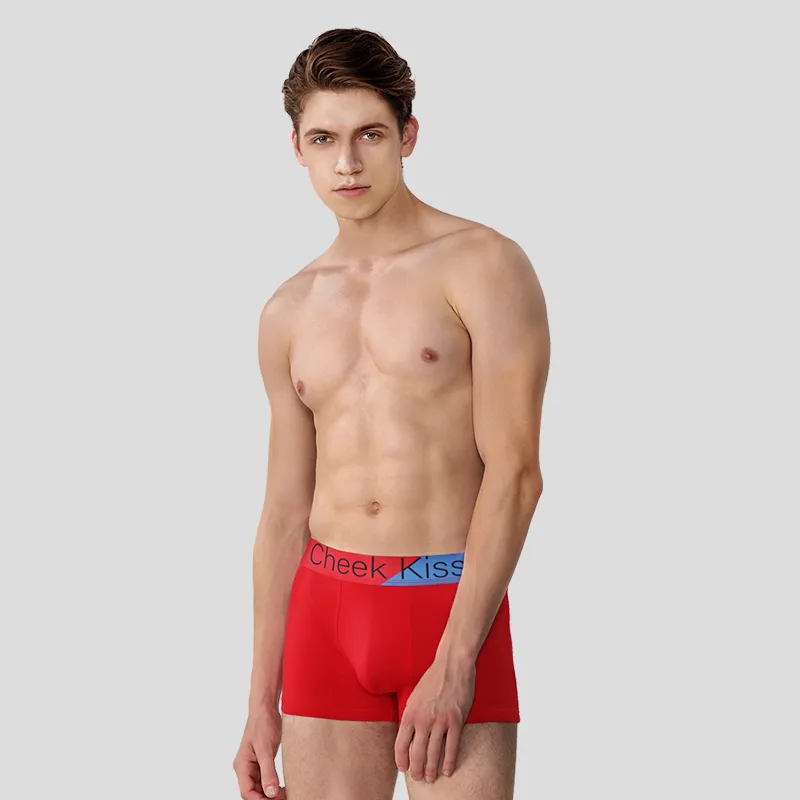 Cheekkiss Underwear Gift Boxes Men's Box 4 Pack-12