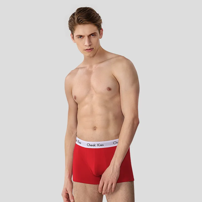 Cheekkiss Underwear Gift Boxes Men's Box 4 Pack-5