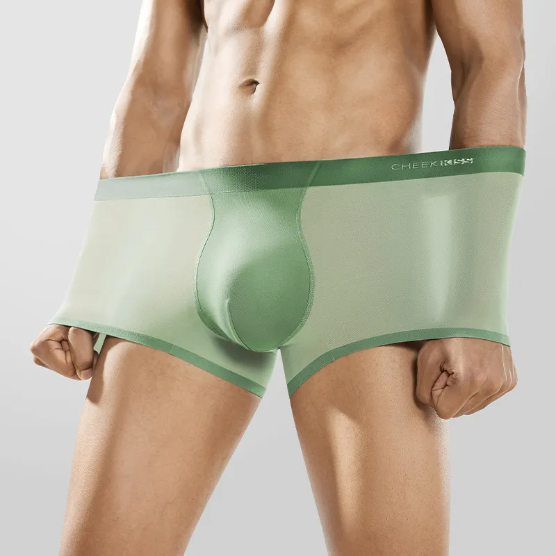 Cheekkiss Underpants Men's 4 Pack-13