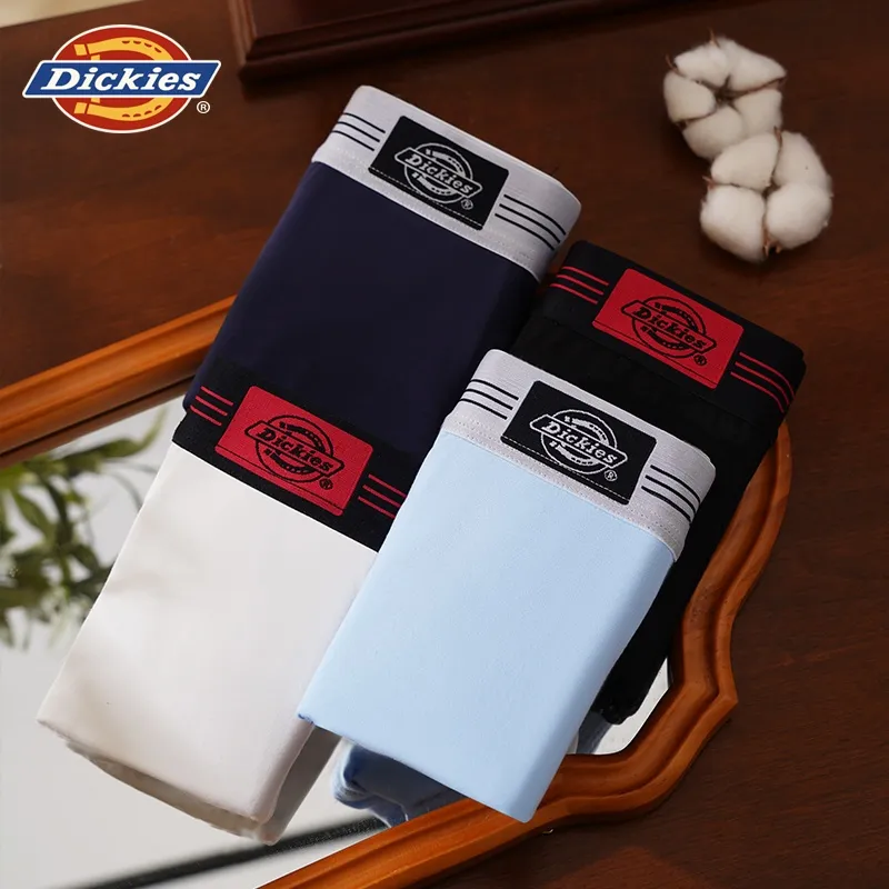 Dickies Underpants Men's Combo Set-49