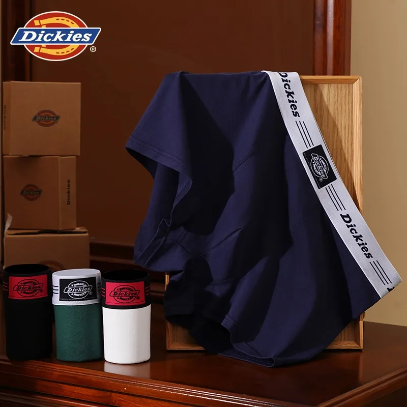 Dickies Underpants Men's Combo Set-71
