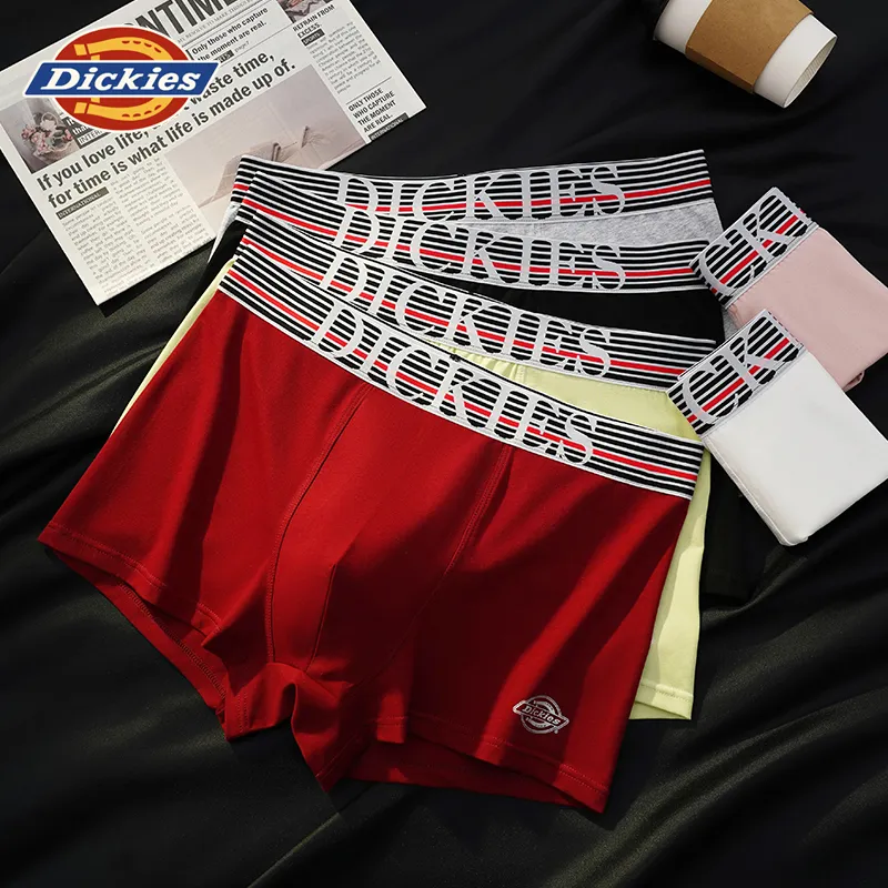 Dickies Underpants Men's Combo Set-15