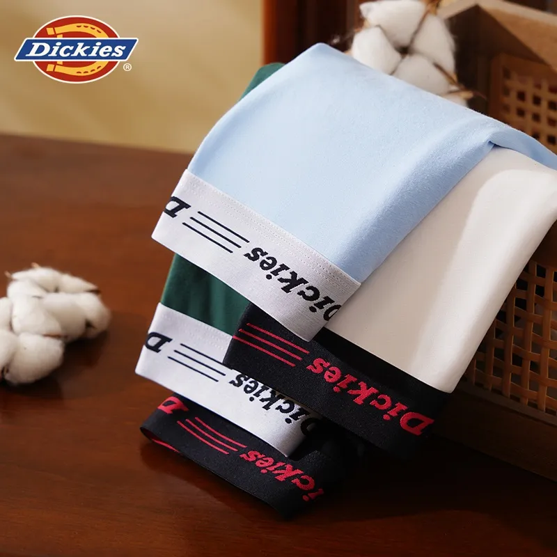 Dickies Underpants Men's Combo Set-58
