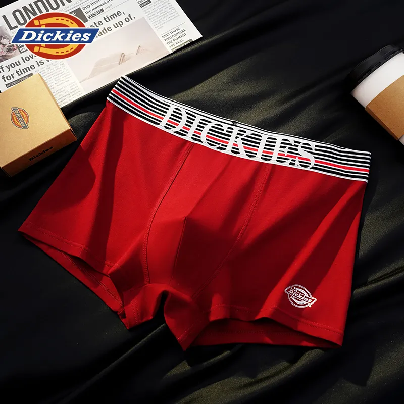 Dickies Underpants Men's Combo Set-34