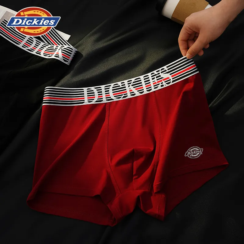 Dickies Underpants Men's Combo Set-95