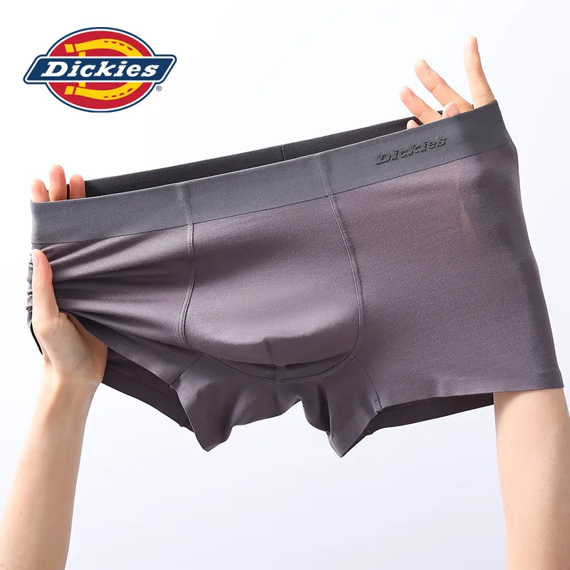 Dickies Comfortable Extra Thin Quick Dry Seamless Underpants Men's-16