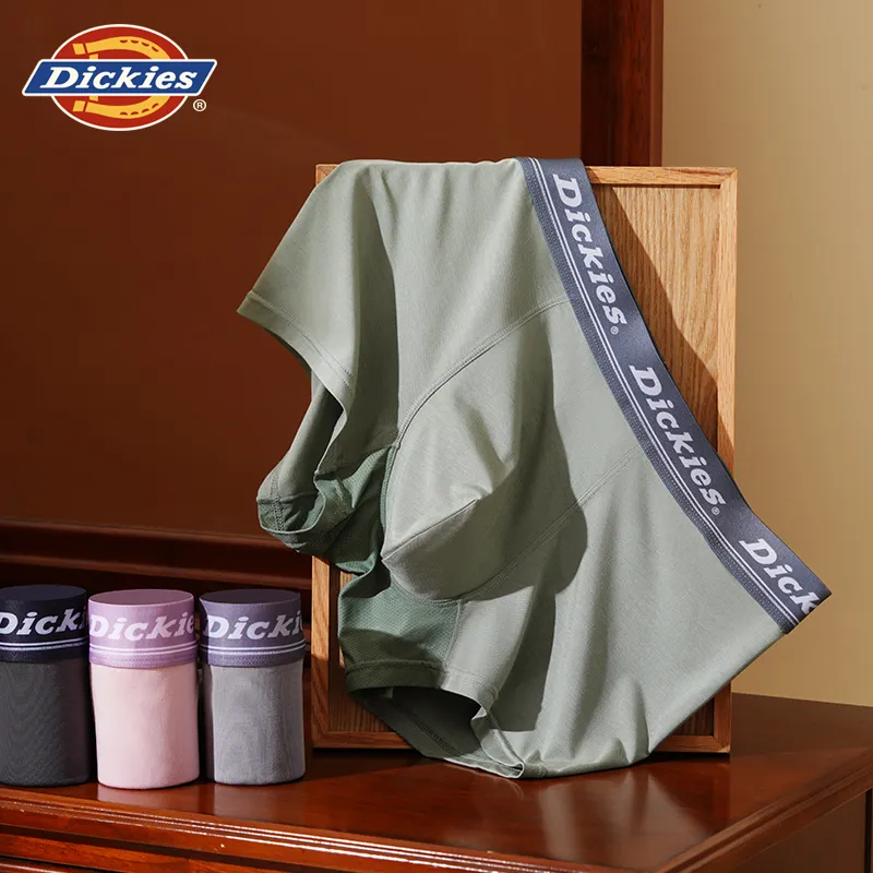 Dickies Underpants Men's Box 3 Pack-18