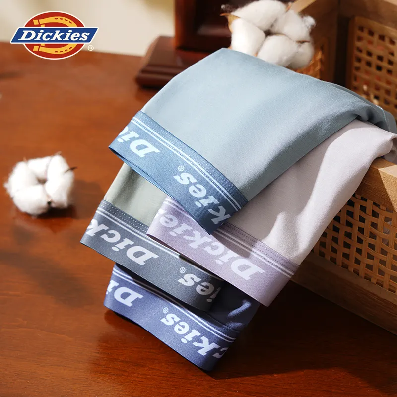 Dickies Underpants Men's Box 3 Pack-7