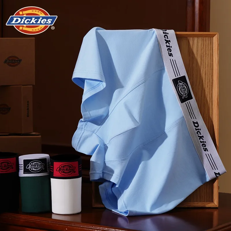 Dickies Underpants Men's Combo Set-67
