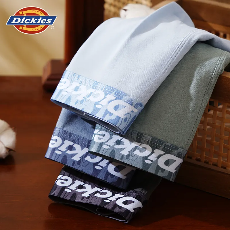 Dickies Underpants Men's Box 3 Pack-13