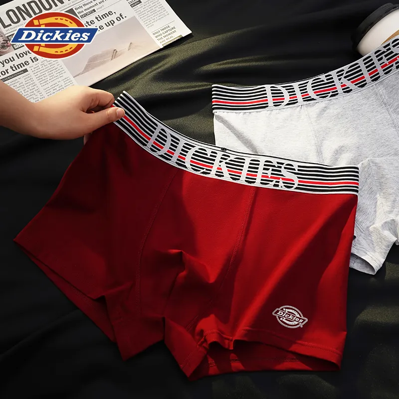 Dickies Underpants Men's Combo Set-44