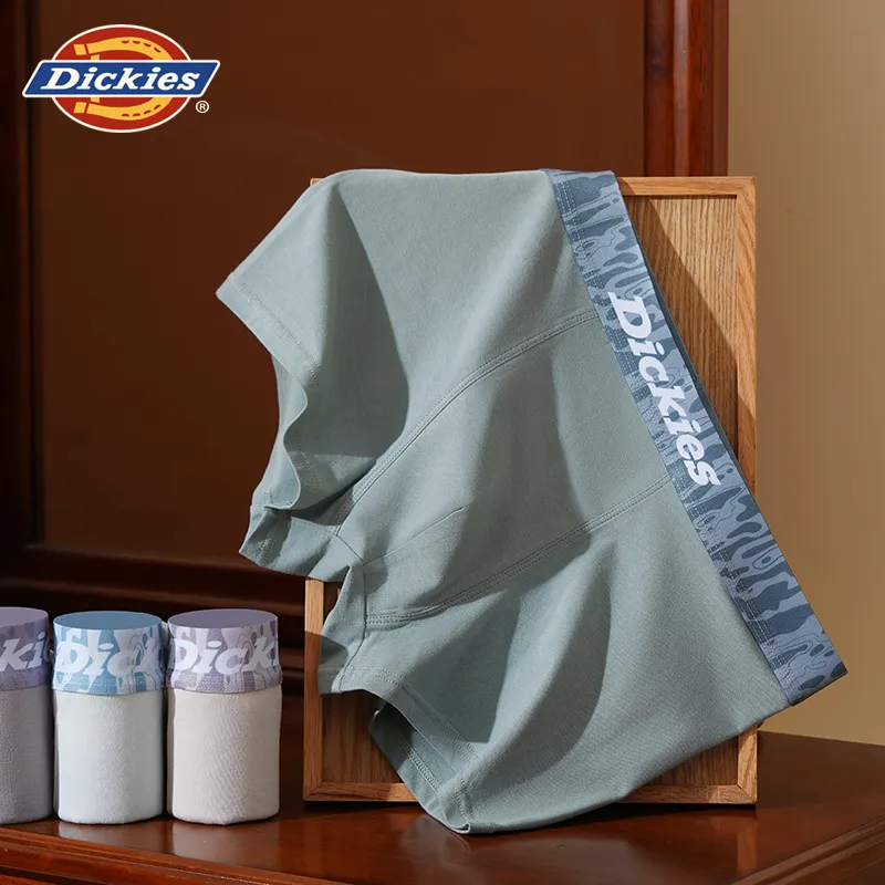 Dickies Underpants Men's Box 3 Pack-26