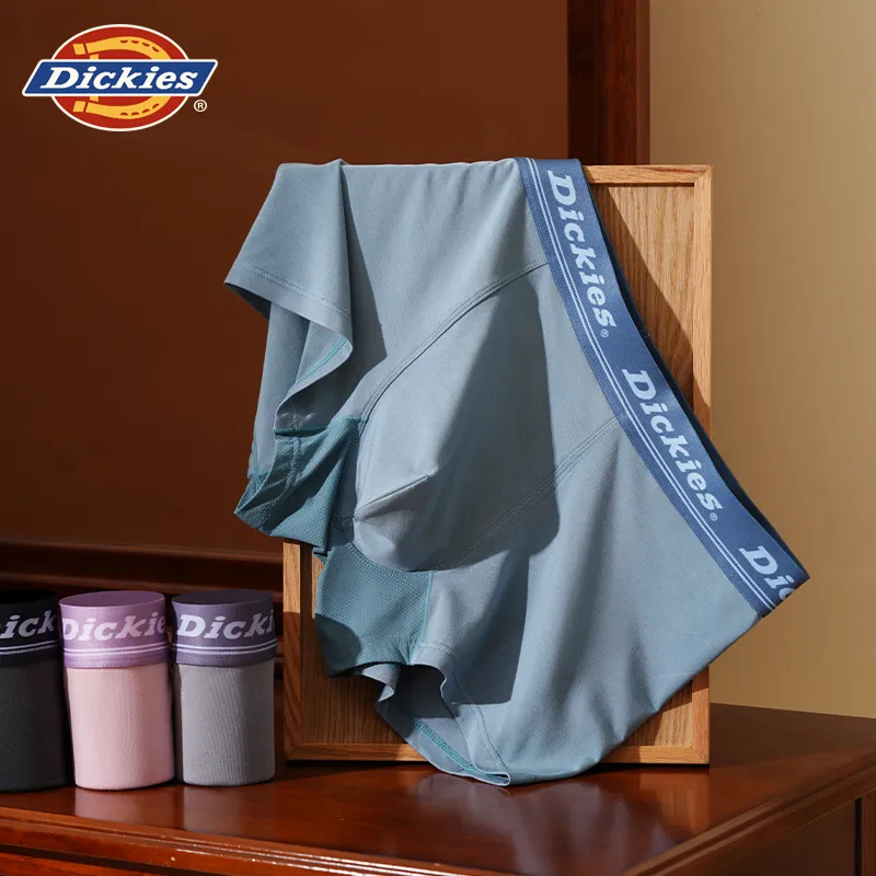 Dickies Underpants Men's Box 3 Pack-14