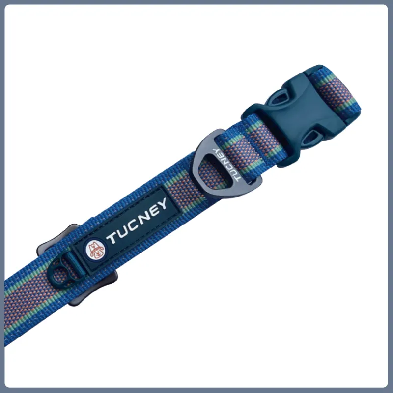 TUCNEY Tuhuan Set Dog Leash Training Rope Puppy Collar Dog Neck Float Ring Training Dog Collar-4