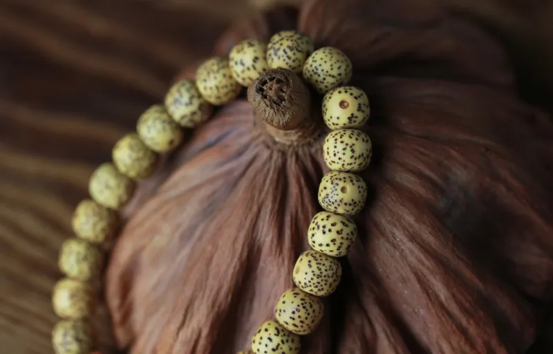 SHUZHUO Star Moon Bodhi Seeds Bracelets Unisex-3