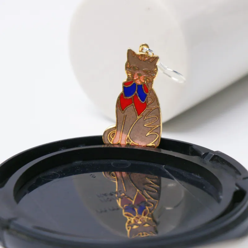 HONGQIAO Enamel Earrings Women's-2