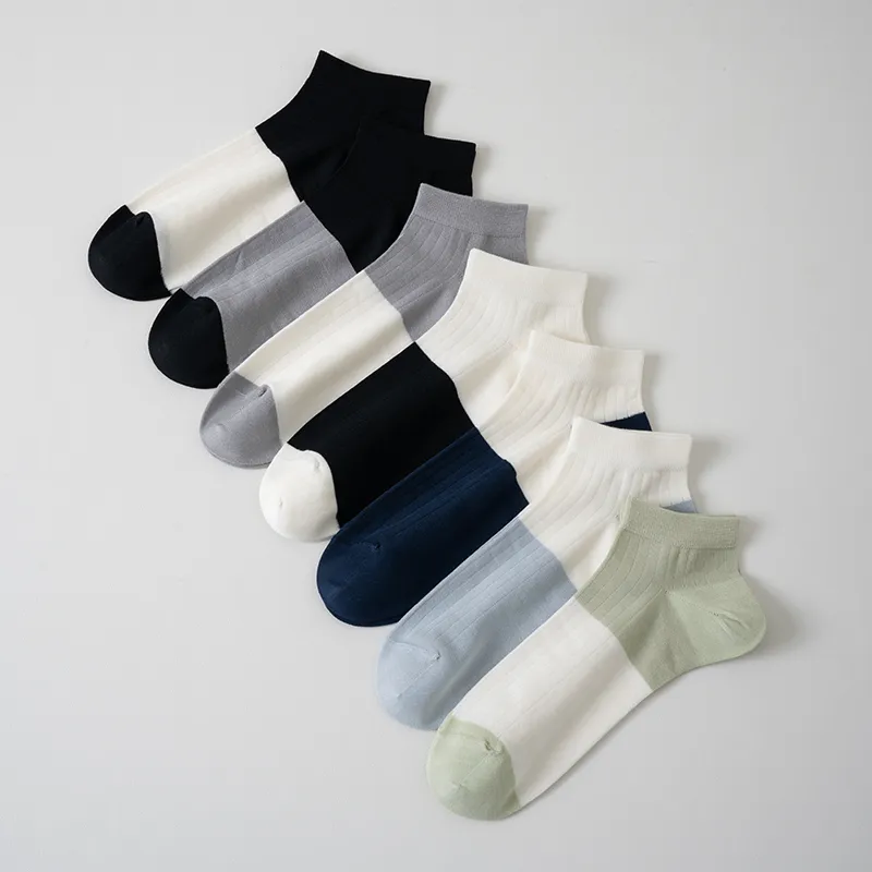 Caramella No Show Socks Men's 5 Pack-7