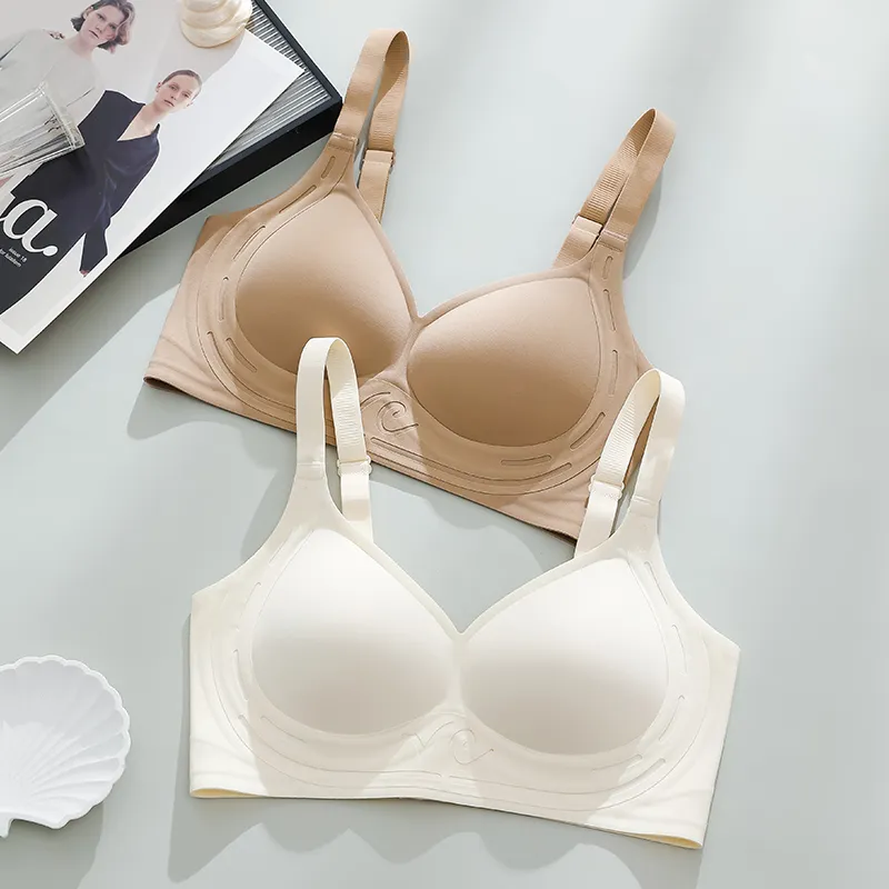 Caramella Women's Bras-1