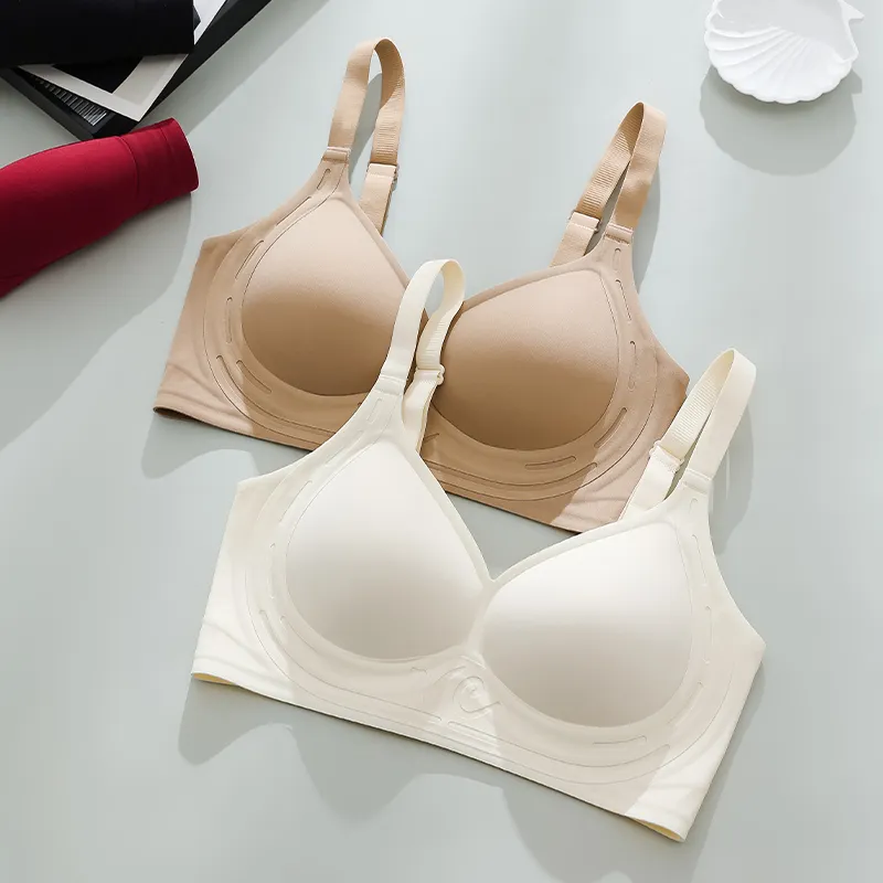 Caramella Women's Bras-2