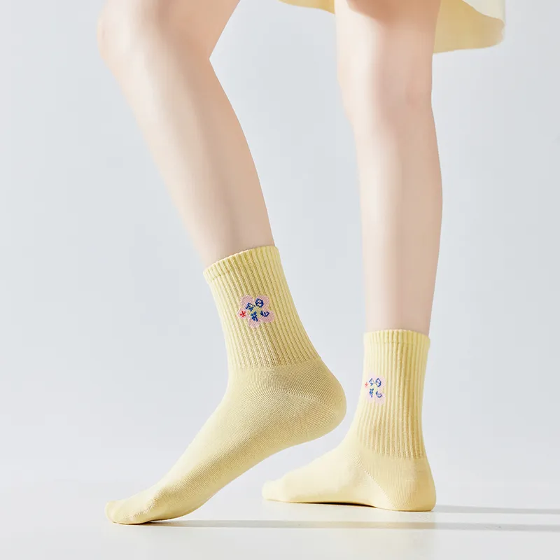 Master Mid Calf Socks Women's 6 Pack-3