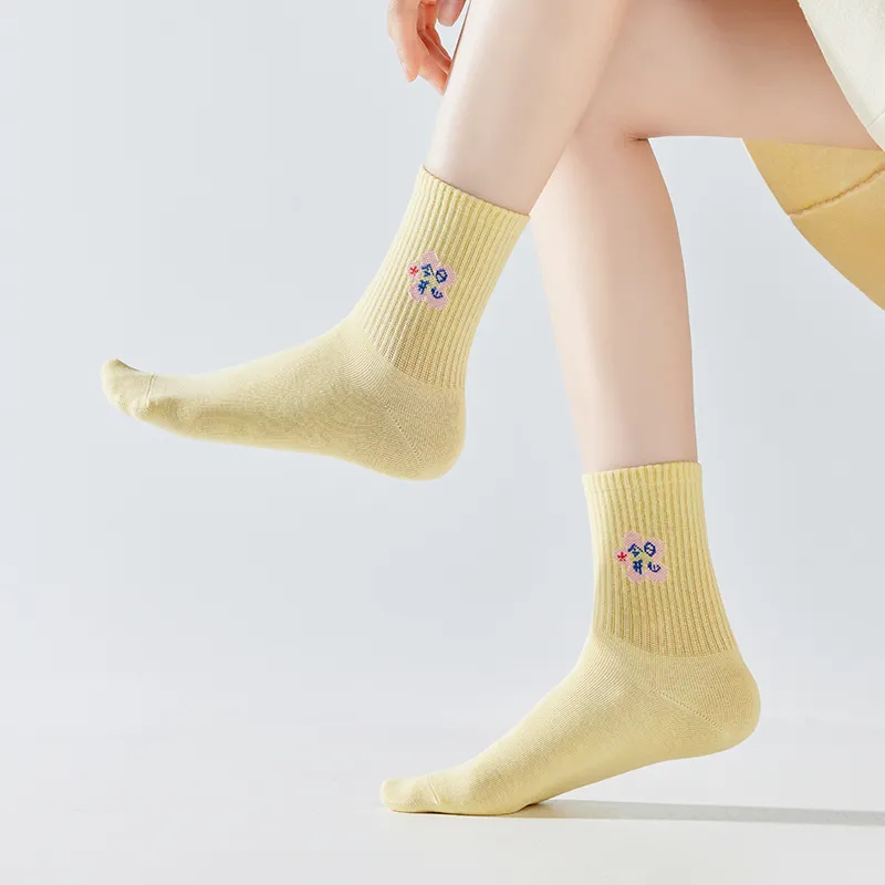 Master Mid Calf Socks Women's 6 Pack-5