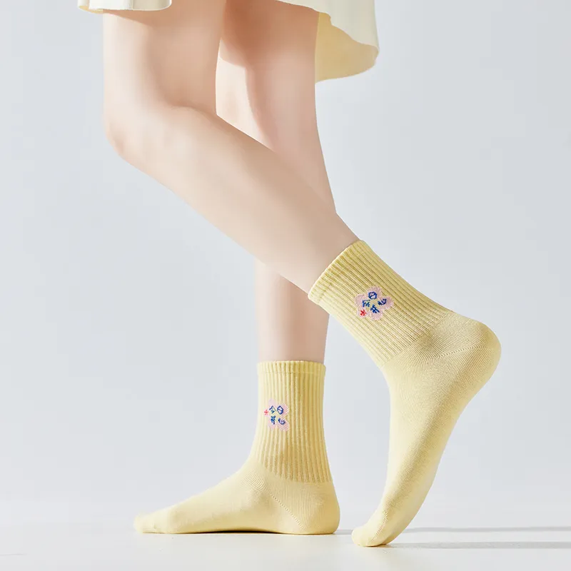 Master Mid Calf Socks Women's 6 Pack-2