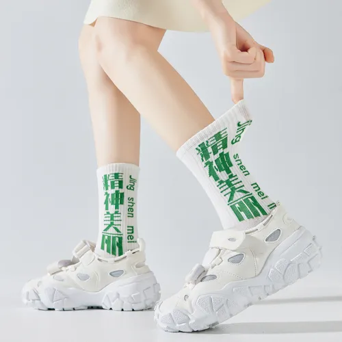 Master Mid Calf Socks Women's 5 Pack