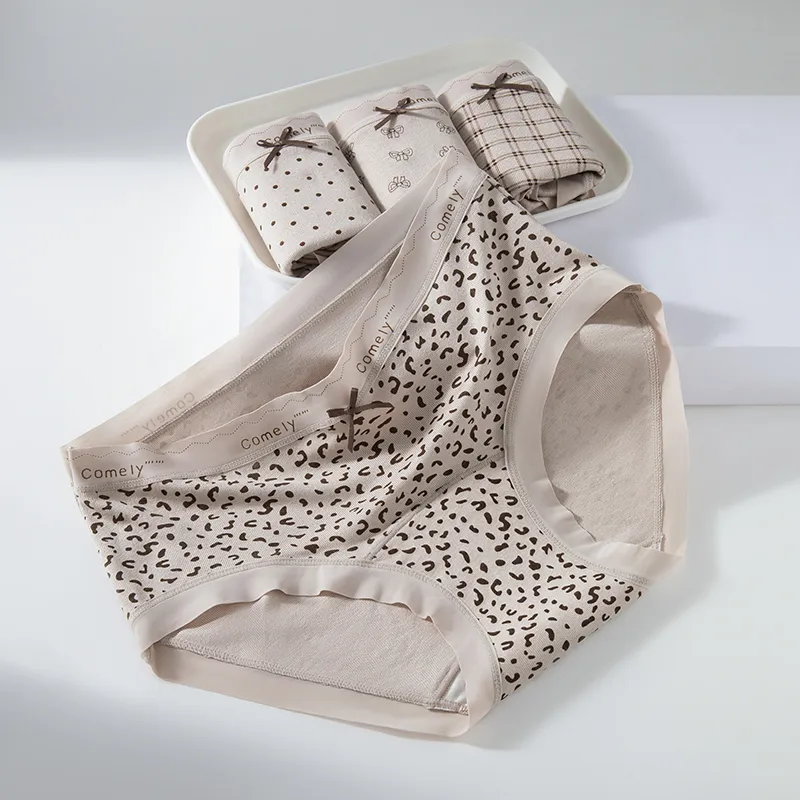 Master Underpants Women's Box 3 Pack-6