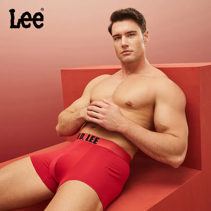 Lee Sunset 5.0 Underwear Gift Boxes Men's 4 Pack-9