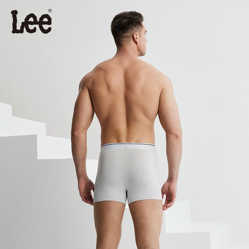 Lee Brilliant Underwear Gift Boxes Men's 3 Pack-15
