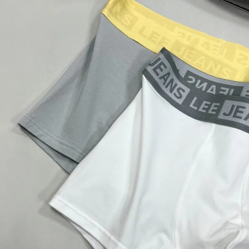 Lee Sunset 1.0 Underwear Gift Boxes Men's 1 Pack-4