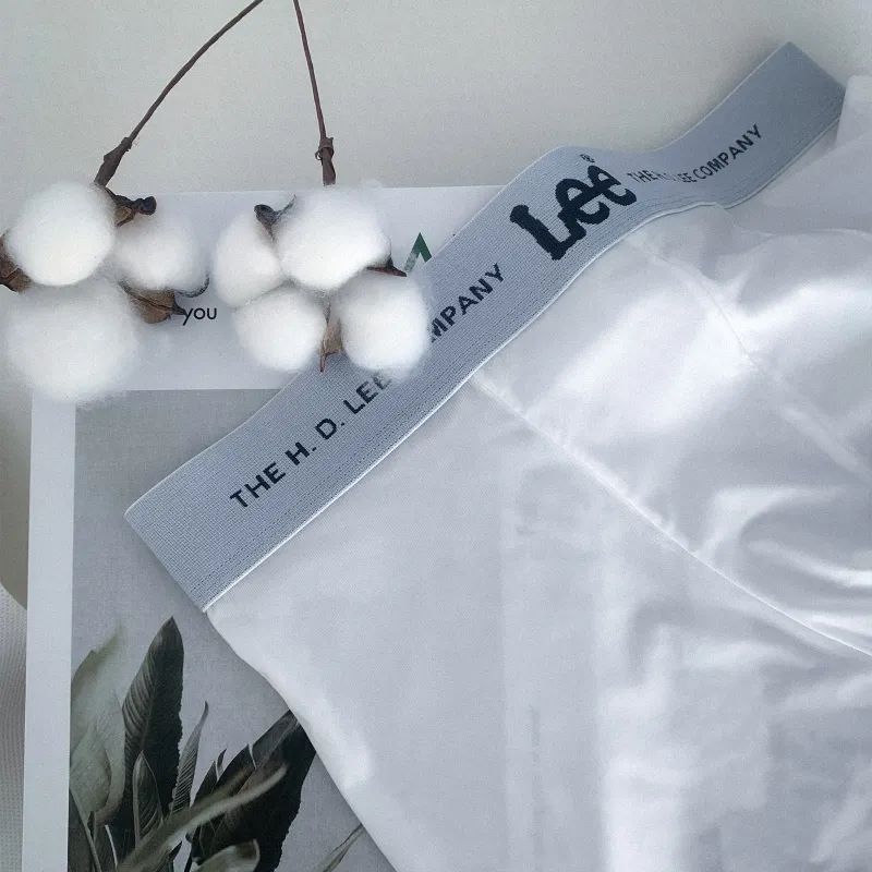 Lee SS23 Ice Series Underwear Gift Box Men's 4 Pack-6