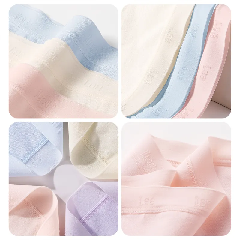 Lee Prism 4.0 Underwear Gift Boxes Women's 4 Pack-10