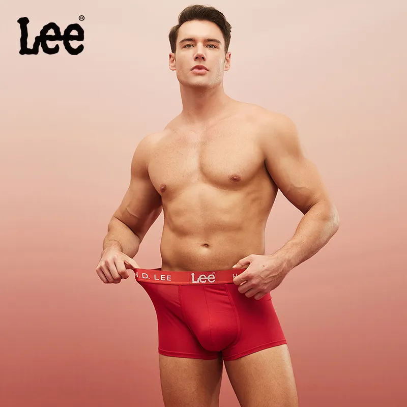Lee Prism Color Two Underpants Men's Combo Set-13