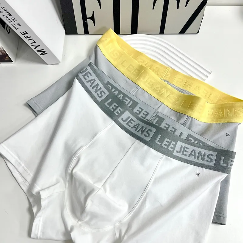 Lee Sunset 1.0 Underwear Gift Boxes Men's 1 Pack-18