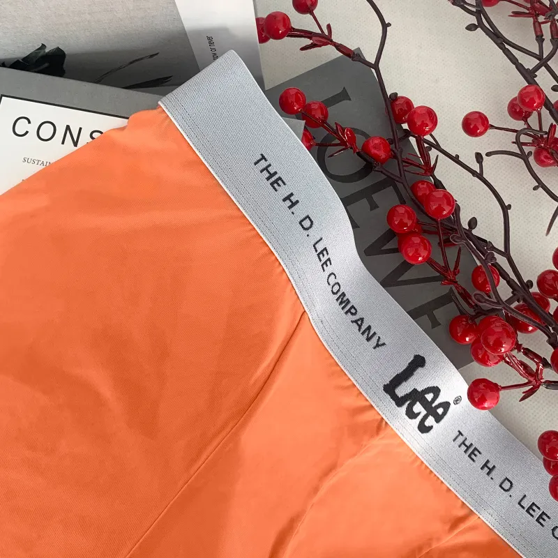 Lee SS23 Ice Series Underwear Gift Box Men's 4 Pack-7