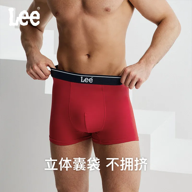 Lee Brilliant Underwear Gift Boxes Men's 3 Pack-11