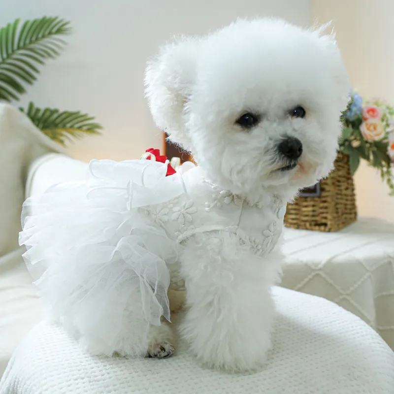 Petcircle Pet Clothing-4